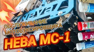 Мотобуксировщик НЕВА МС1-ZS. Обслуживание подшипников. Регулировка клапанов
