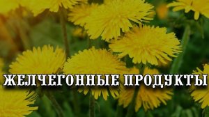 КАКИЕ СУЩЕСТВУЮТ ЖЕЛЧЕГОННЫЕ ПРОДУКТЫ?