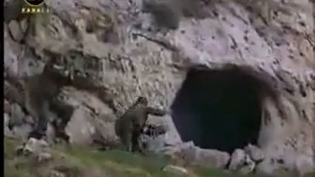 Mountain COMMANDO DADASLAR Operation Training смотреть онлайн