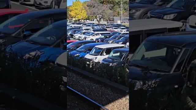 Парковка .... смотреть онлайн