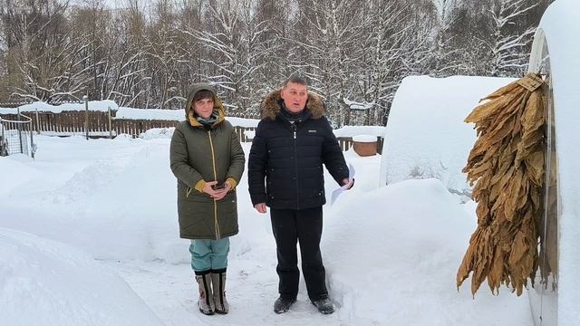 Новогодняя викторина. Гаванка табака победителю. смотреть онлайн