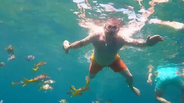 Exploring the coral reef with my family in Varadero Cuba 🇨🇺. смотреть онлайн