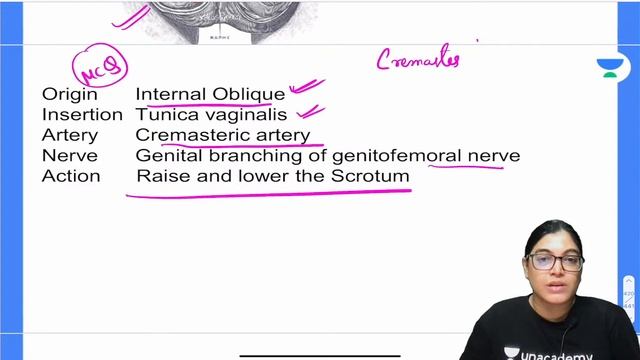 Grand FMGE Dec 2021 (Anatomy Quiz Part-5) | MCQs | Anatomy | Let's Crack NEET PG | Dr.Monalisa смотреть онлайн
