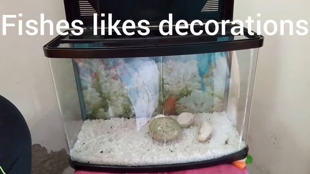 How to clean Aquarium🐠🐟 with bacteria, necessary for fishes смотреть онлайн