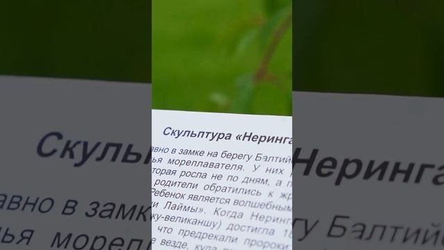 Компания ЗСК СФЕРА отправилась в глэмпинг на Куршской косе — уникальное место с собственным пляжем! смотреть онлайн