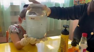 Эксперимент в детском саду. На тему "Экология".