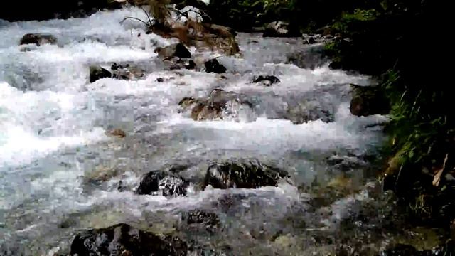 Горная река Северный Кавказ