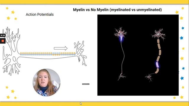 Nervous System: Neuron Help (structure, action potentials, myelin) (anatomy) смотреть онлайн