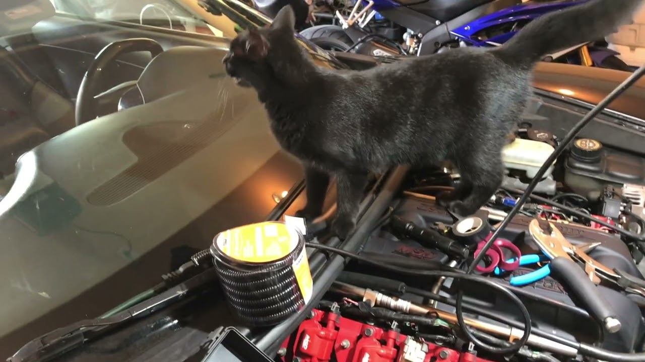 C6 Corvette overheating, radiator fan broken (melted plug) and fix смотреть онлайн