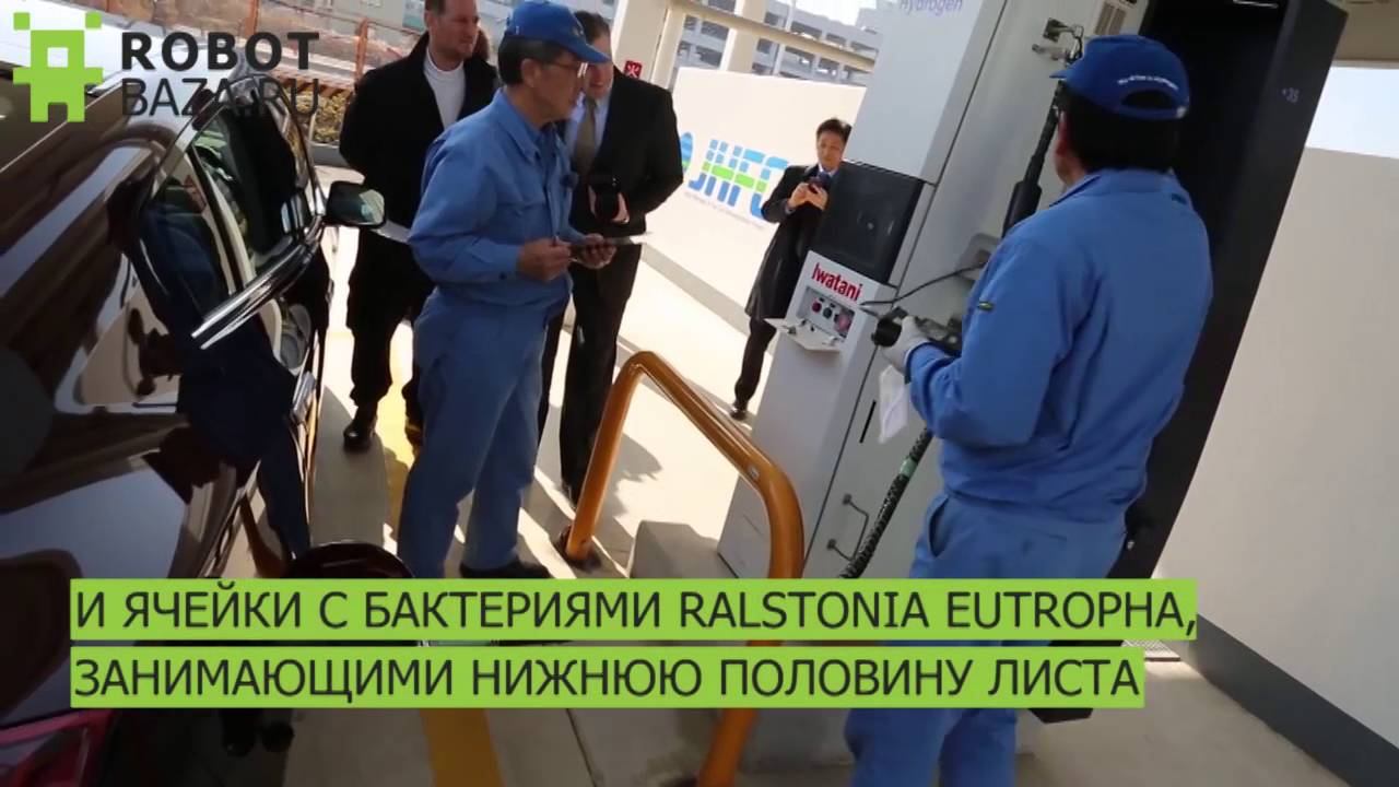 Бионический лист оказался эффективнее природного смотреть онлайн