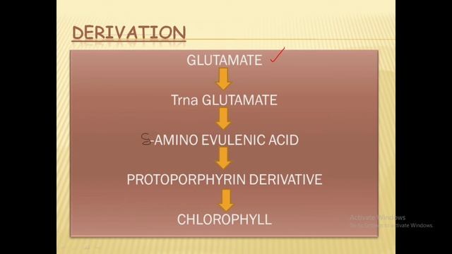 PHOTOSYNTHESIS (PART-2) || Plant physiology|| CHLOROPHYLL II PIGMENTS II CSIR-NET I GATE смотреть онлайн