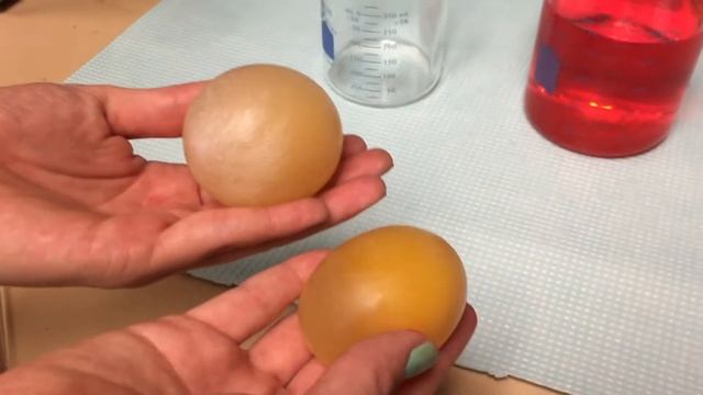 Osmotic Pressure and Eggs! смотреть онлайн