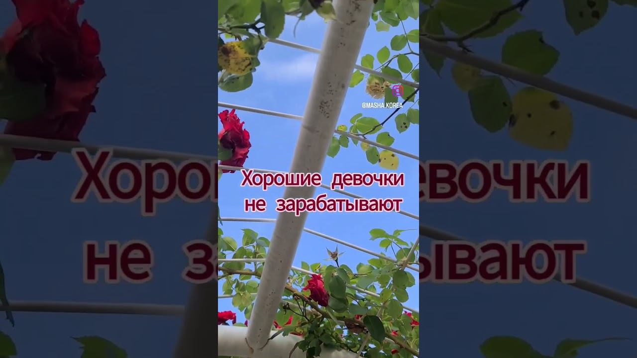 Хорошие девочки не зарабатывают. Зато хорошие #цитатадня смотреть онлайн