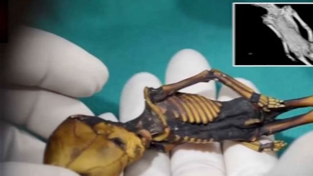 15 UNBELIEVABLE Things Found On Earth We Can't Explain! смотреть онлайн