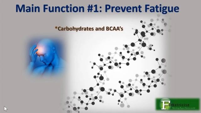 BCAAS-Branched Chain Amino Acids смотреть онлайн