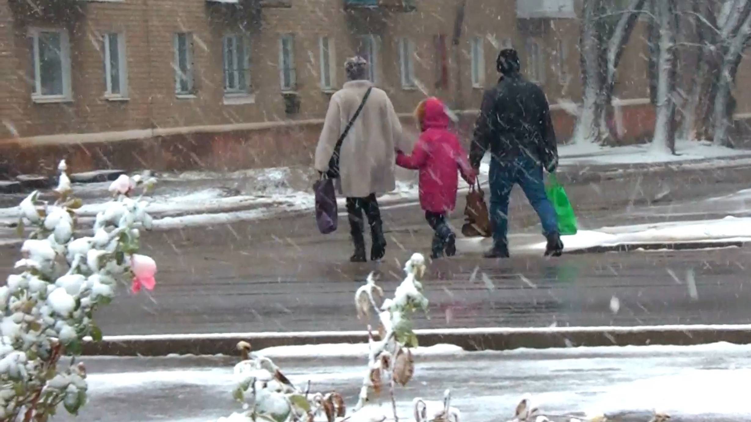 У природы нет плохой погоды _ Суходольск ЛНР _ ноябрь 2024 г.