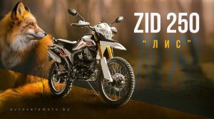 ЗИД 250 ЛИС 2023 ГОДА | ЧЕСТНЫЙ ОБЗОР ОТ АВТОВЕЛОМОТО | ЛУЧШИЙ НЕДОРОГОЙ ЭНДУРО