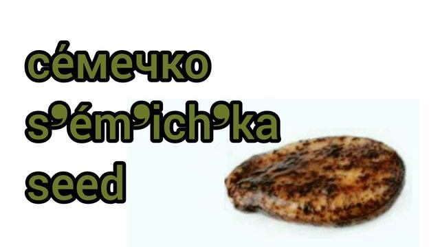 Как произносится семечко по-русски смотреть онлайн
