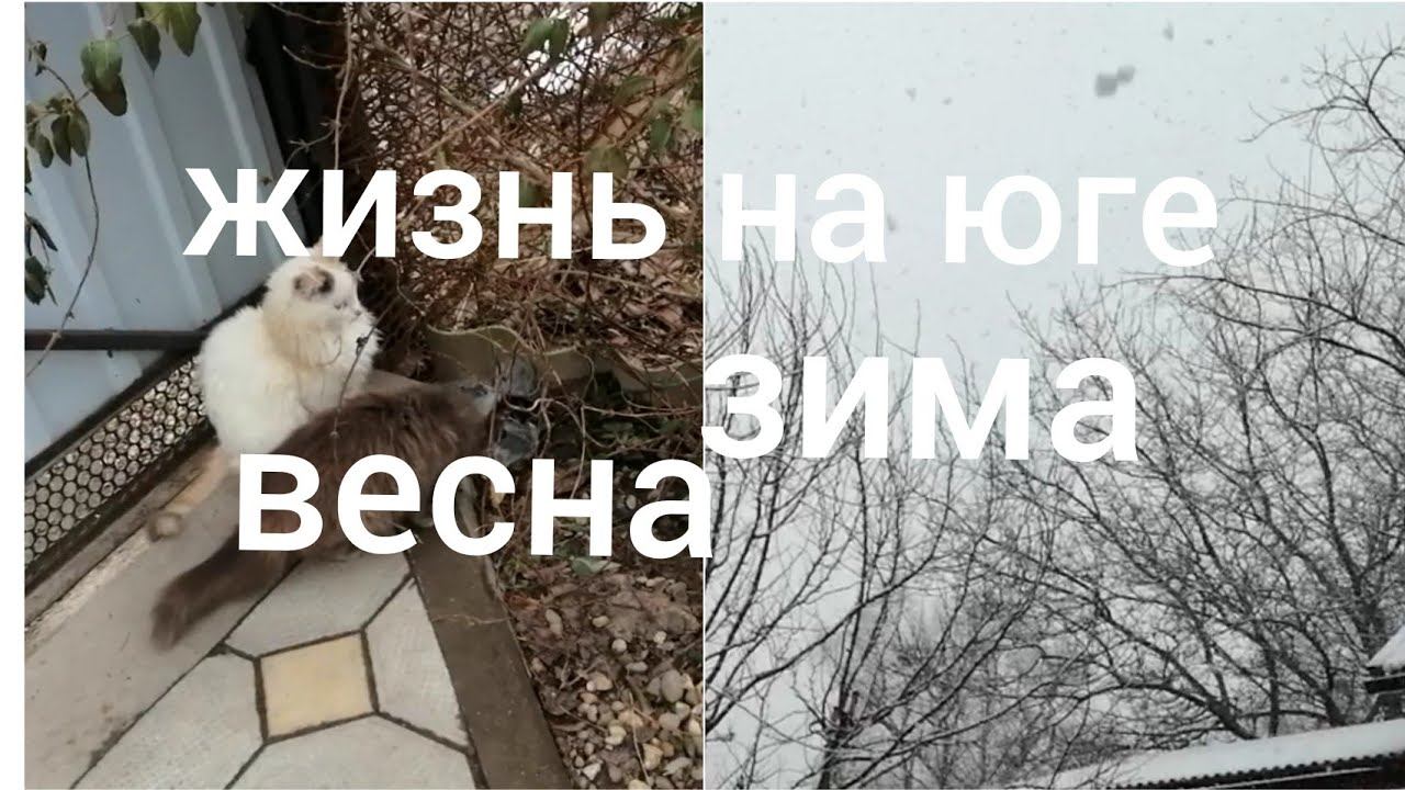 Vlog/Весна/Зима/Весеннее настроение/Краснодар/Krasnodar
