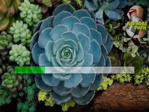 КАРАОКЕ.ТВ ,,ГУЛИ САНГАМ" смотреть онлайн