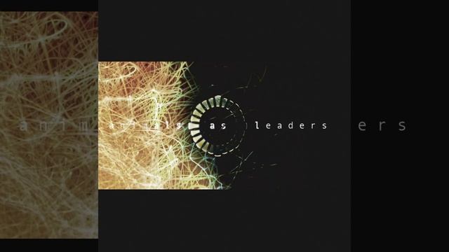 Animals As Leaders - Animals As Leaders (2009). 12 - Song Of Solomon. US. Tech/Extreme Prog Metal.