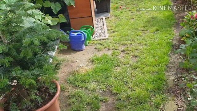 Выход из диеты•Мое питание•Огуречики• Германия VLOG 08/19 смотреть онлайн