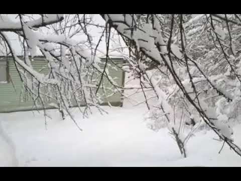 Зимняя сказка нашего двора смотреть онлайн