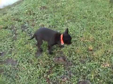 N-nest 09-12-08 Ellipse смотреть онлайн