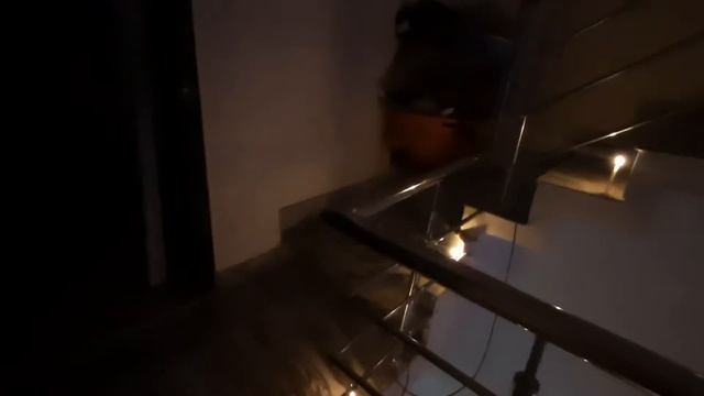 Happy Diwali 💐💐💐💐 смотреть онлайн