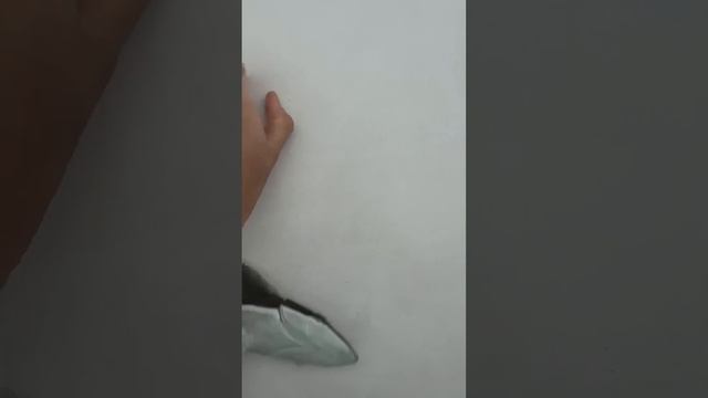 Рыба прилипала. Обычно сопровождают больших акул. Прилипает к любой поверхности смотреть онлайн