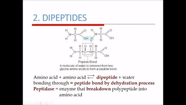BIO122 Week 7 Biological Molecules смотреть онлайн