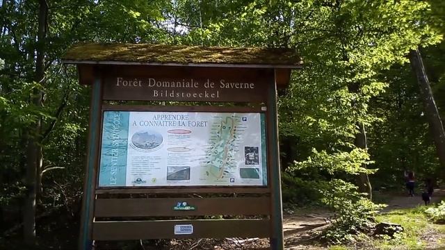 26 04 Карантин ТВ для друзей смотреть онлайн