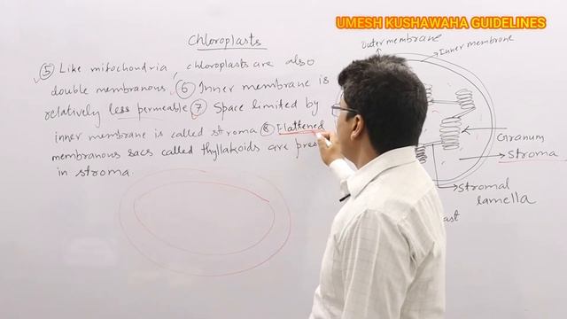 Chloroplast|L-17|Biology| смотреть онлайн