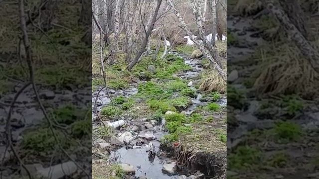 Парк Победы в Петропавловске-Камчатском. Экология. Камчатка. смотреть онлайн