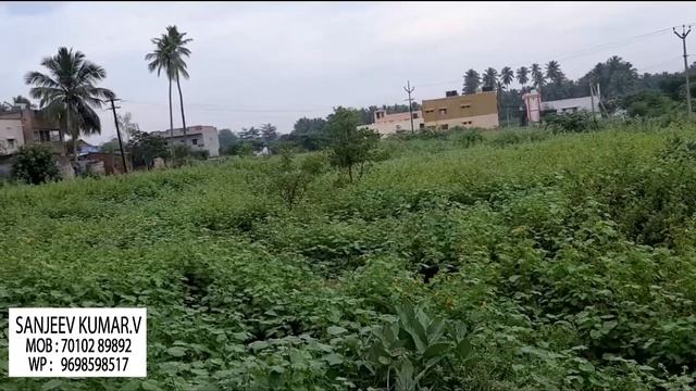140. THENI DIST. Periyakulam 63 Cent LAND for SALE смотреть онлайн