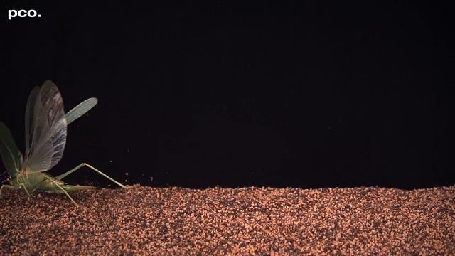 Natural mishaps in slow motion - high-speed images смотреть онлайн