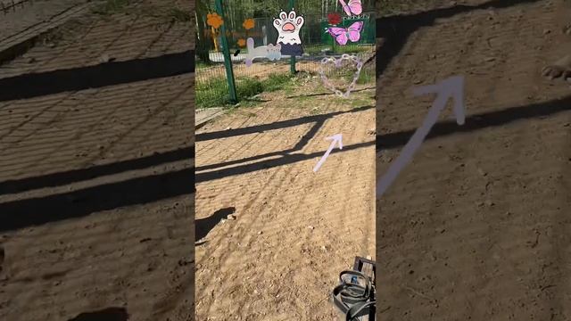 Моника в 6 лет увлеклась монтажом Теперь такие прикольненькие видосики будут тут появляться! #мы смотреть онлайн