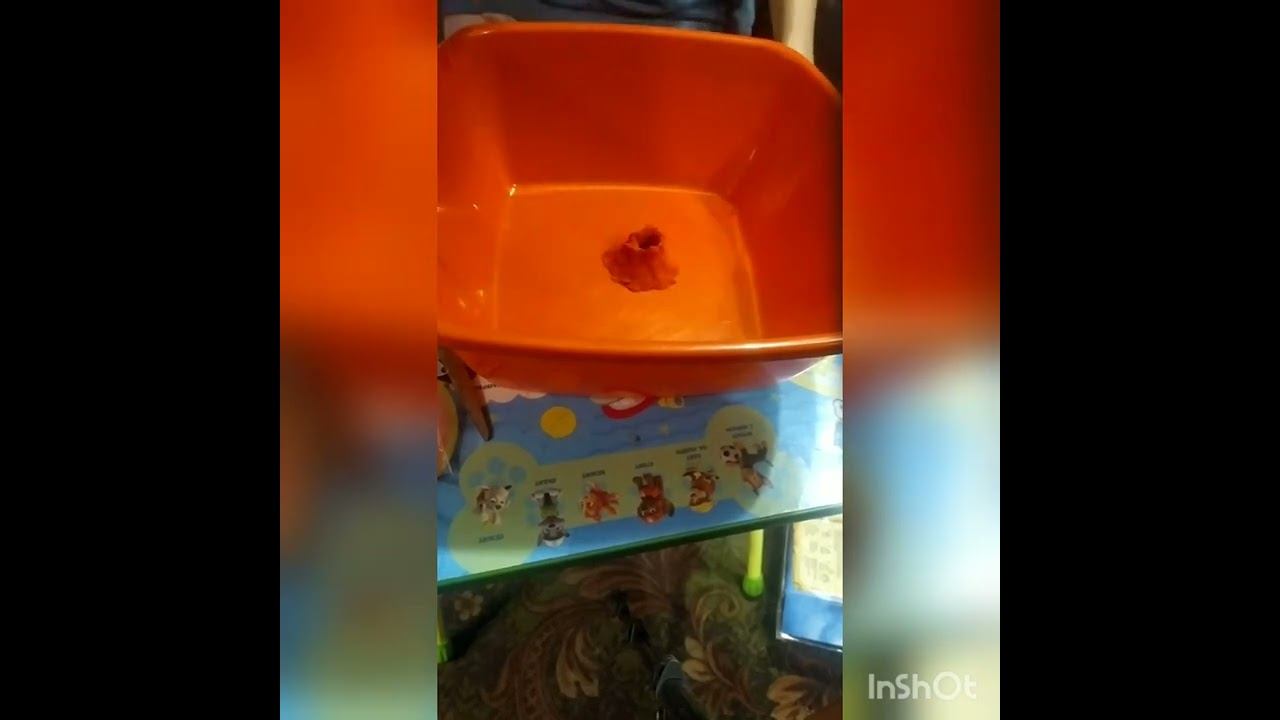 Эксперимент смотреть онлайн