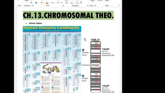 [BIOL] GENES, ALLELES, LOCUS, GENOTYPE, PHENOTYPE, RECESSIVE, MONOGENIC, EPISTASIS, LINKAGE смотреть онлайн
