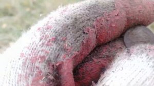 Серебро, серебро и снова серебро/поиск монет с металлоискателем. #9