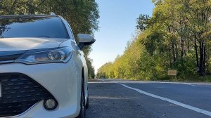 филдер замена пружин на усиленные