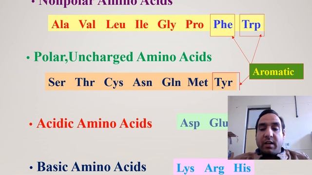 AMINO ACID