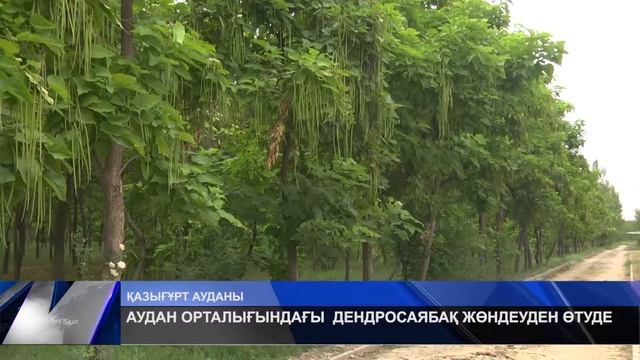 АУДАН ОРТАЛЫҒЫНДАҒЫ ДЕНДРОСАЯБАҚ ЖӨНДЕУДЕН ӨТУДЕ смотреть онлайн