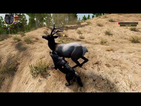 Killing 19 Elk in Lost River Singleplayer WolfQuest 3 Anniversary Edition смотреть онлайн