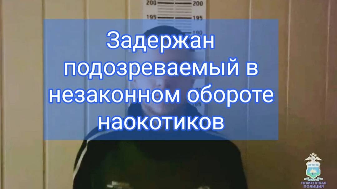 В Тюмени сотрудники УНК задержали подозреваемого в незаконном обороте наркотиков в крупном размере смотреть онлайн