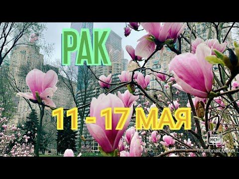 РАК. ТАРО ПРОГНОЗ НА НЕДЕЛЮ С 11 ПО 17 МАЯ. смотреть онлайн