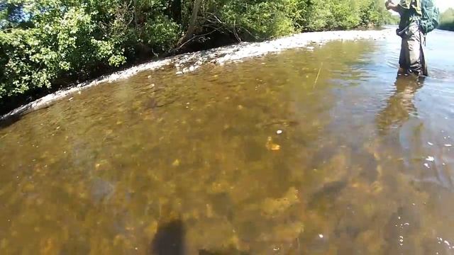 Huge barbell on a fly смотреть онлайн