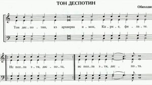 Тон Деспотин