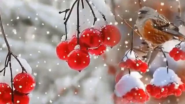 Белый снег...исп.Алёна Герасимова (Макаровна) смотреть онлайн