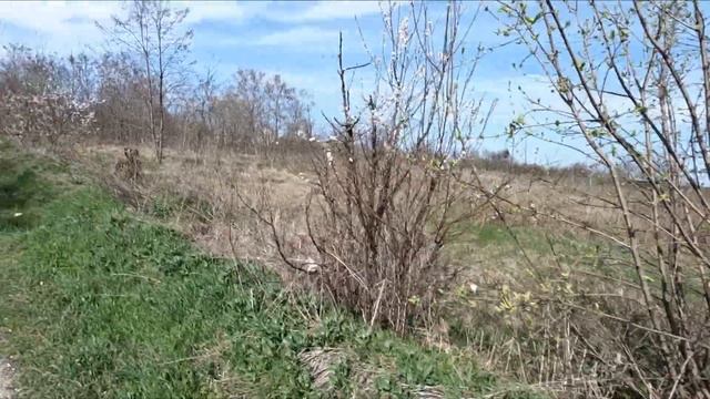 А теперь назад, только на велосипеде. Желтые Воды, 9.04.24 смотреть онлайн